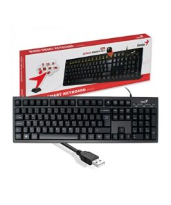 TECLADO GENIUS KB-100X USB